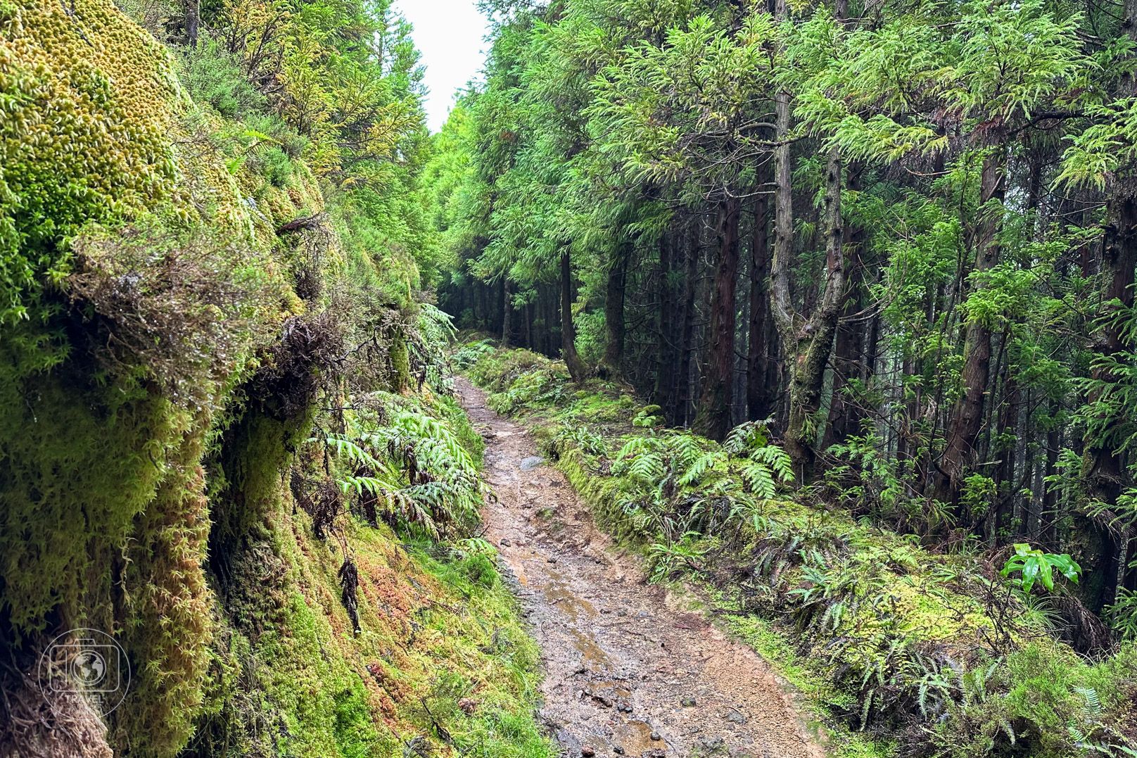 Sendero en Serra Devassa