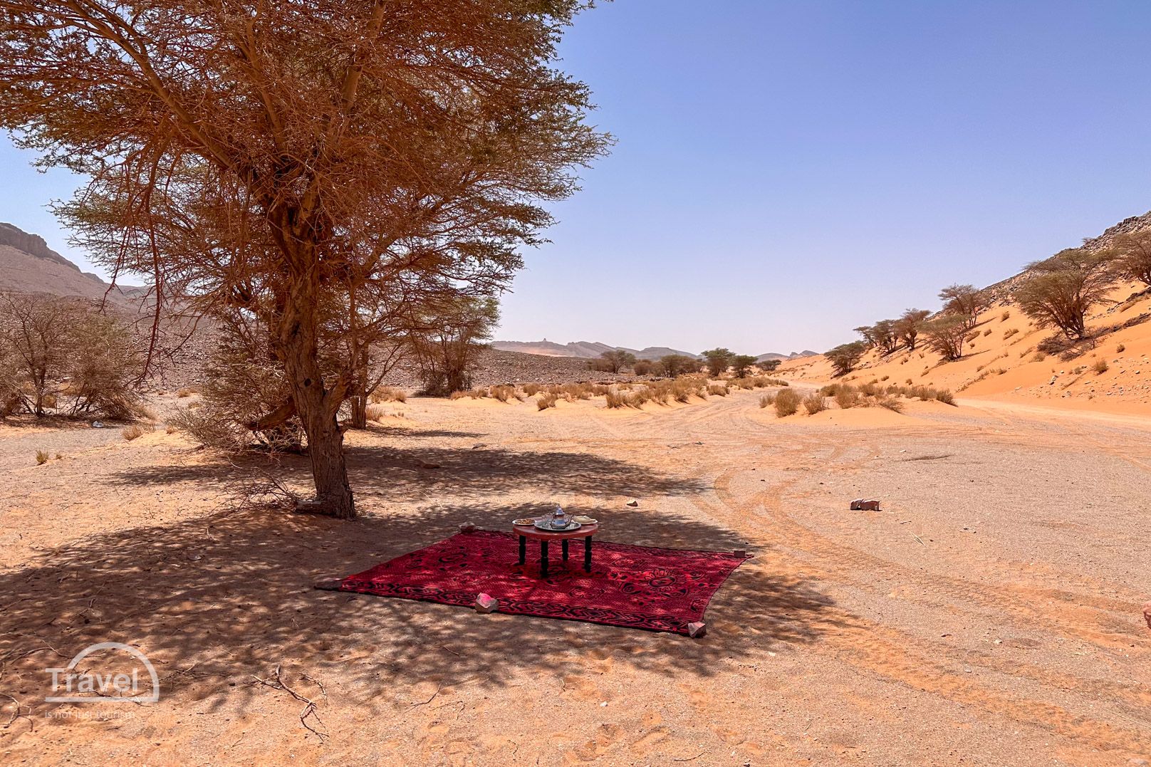 Comida en el desierto