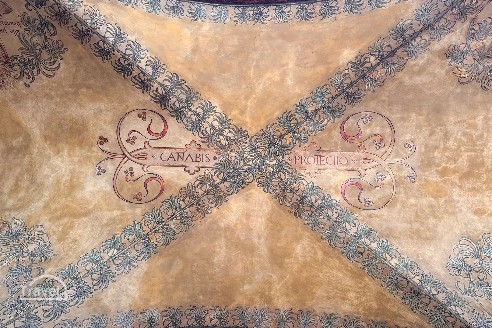 Fresco Canabis Bolonia