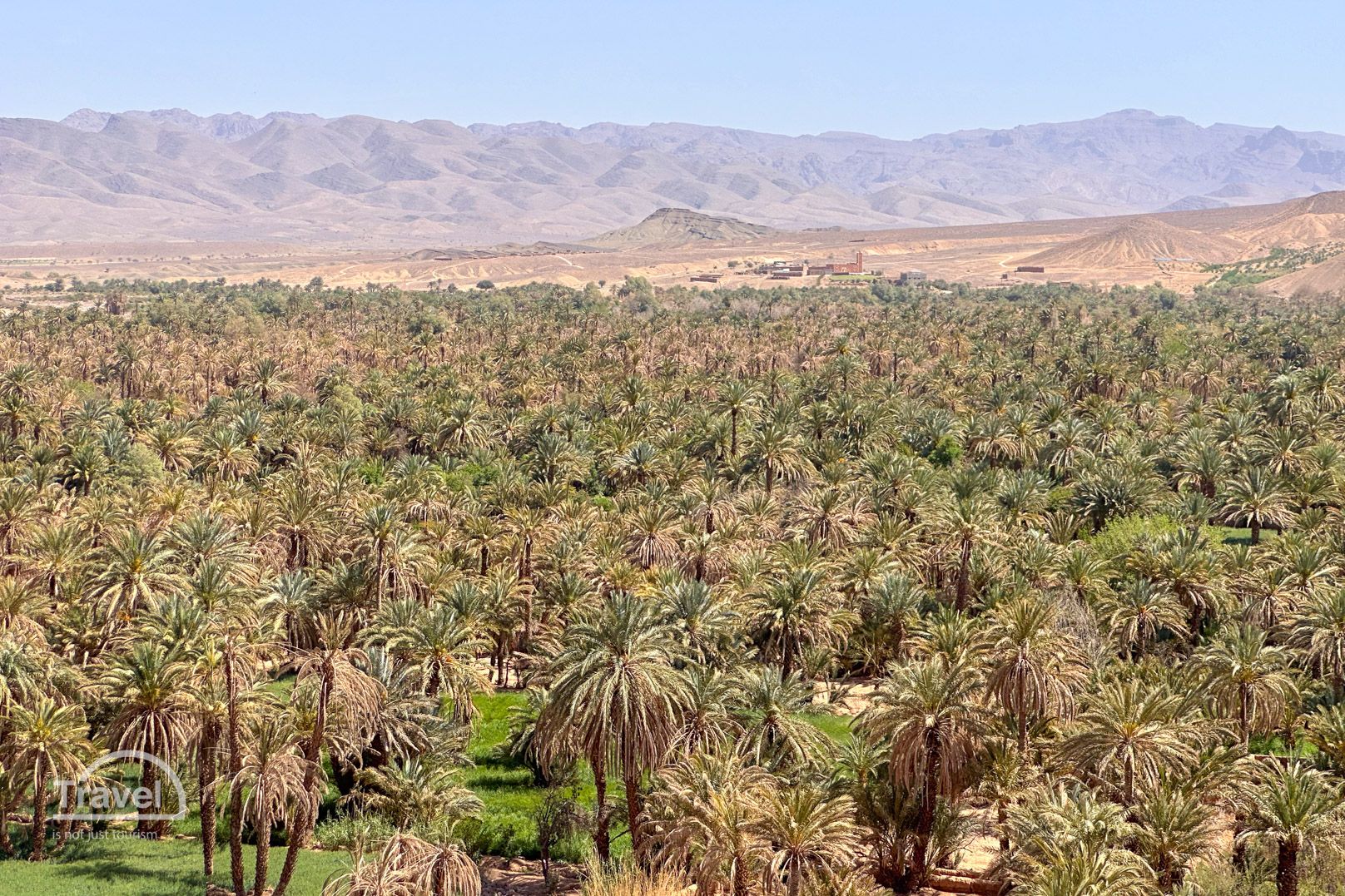 Palmeral en Valle del Draa
